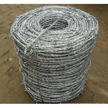 Alambre de púas galvanizado utilizado en la protección